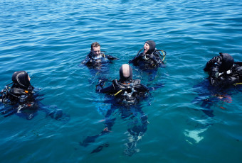 Adult diving baptism (14 years and +)