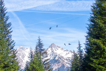 Zipline Valley